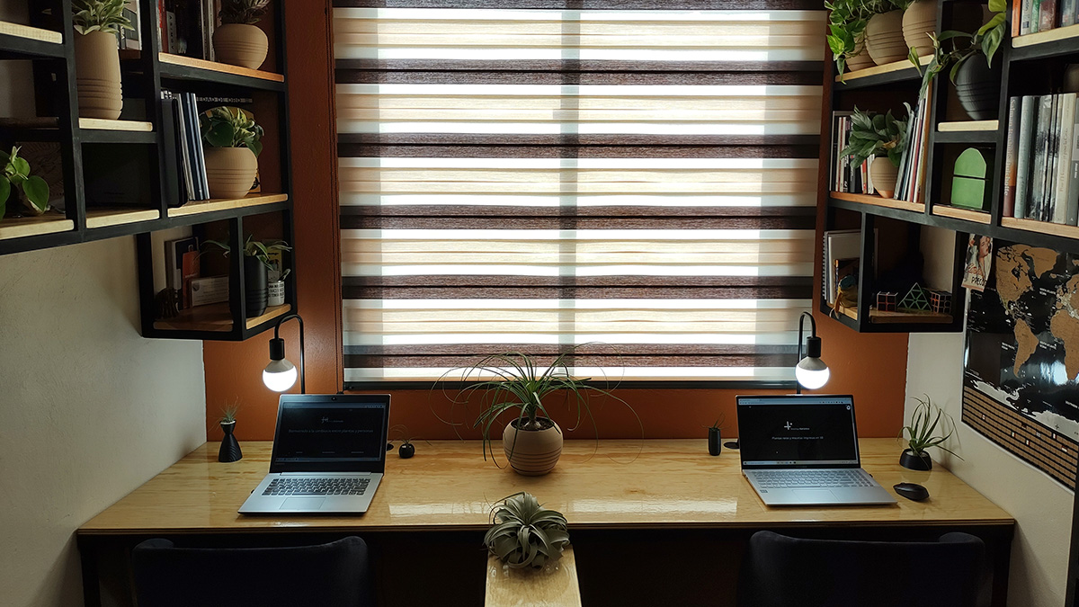 Sala de trabajo con estantes metálicos negros de base de madera adornados con plantas y libros, una cortina rayada adorna la ventana de la sala.